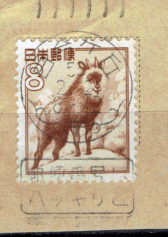 カモシカ8円の昭和56年和文機械印（第4種通信教育便）
