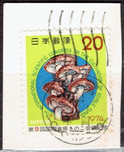 1094年国際食用きのこ会議の年賀機械印
