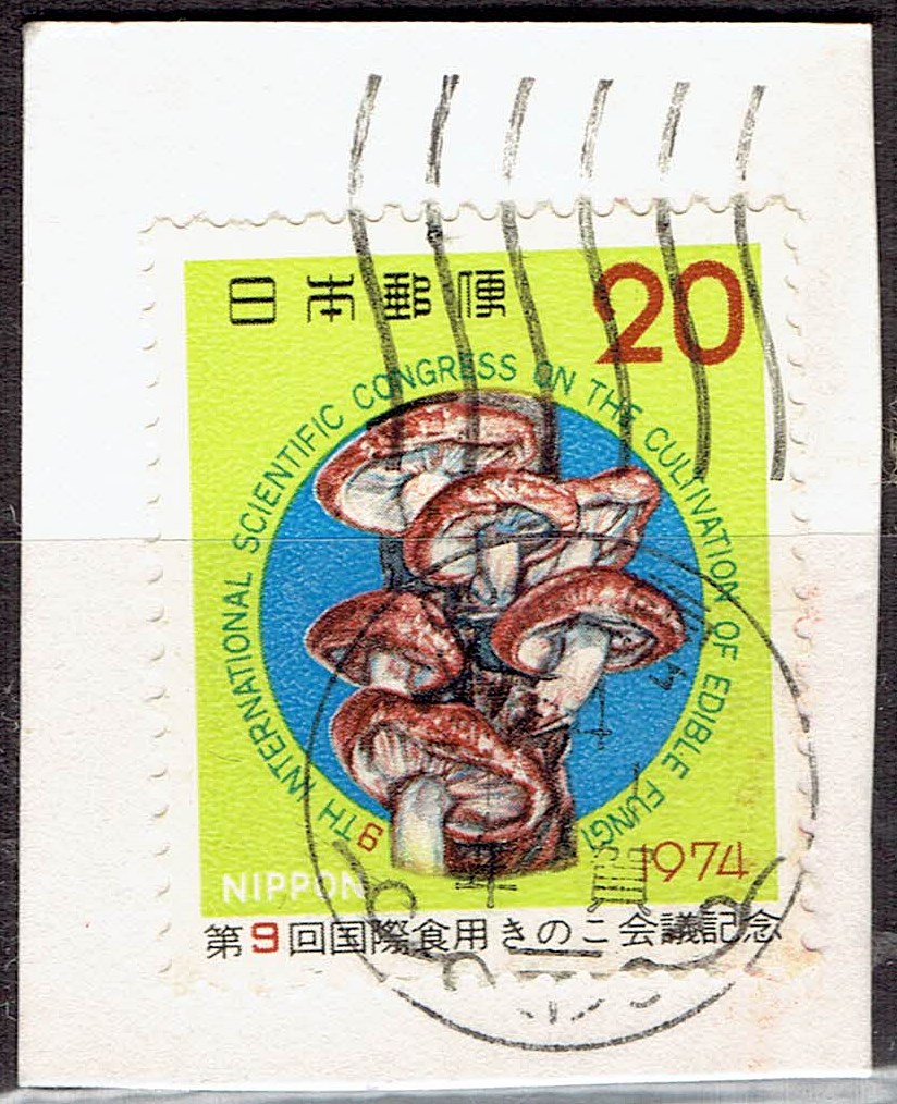 1094年国際食用きのこ会議の年賀機械印